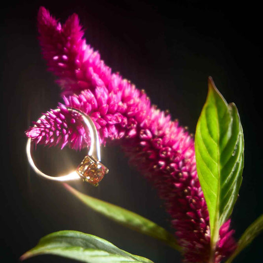 18k gold ring with orange gemstone on vibrant pink flower, luxury jewelry Eclat d'or