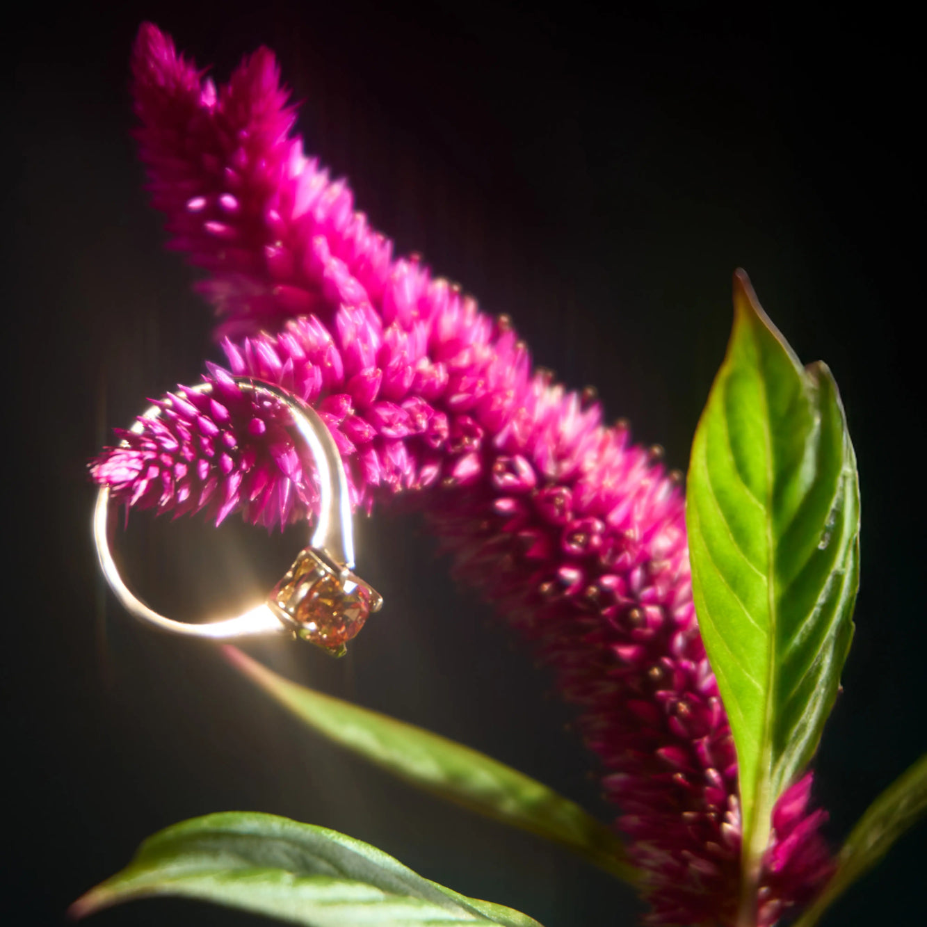 Bague en or 18K – Spessartite et Saphir jaune